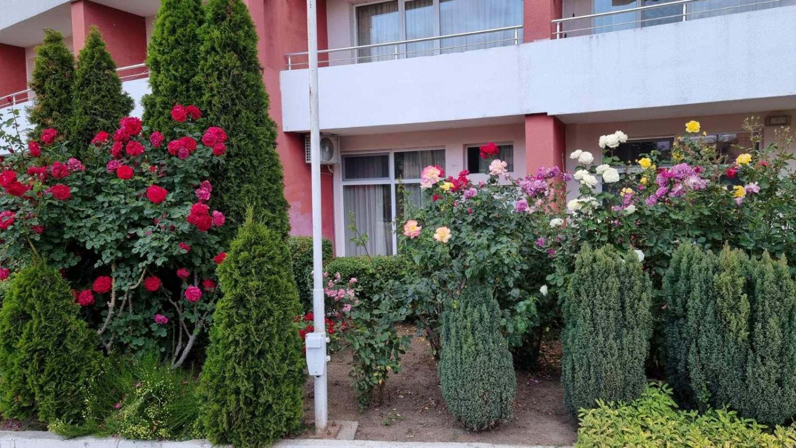Luxurious Studios Nani كرانيفو المظهر الخارجي الصورة