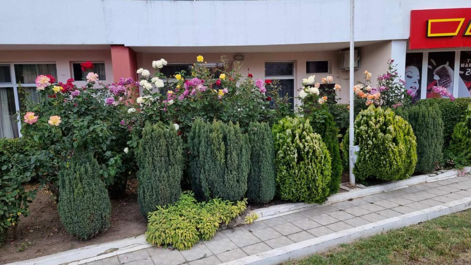 Luxurious Studios Nani كرانيفو المظهر الخارجي الصورة