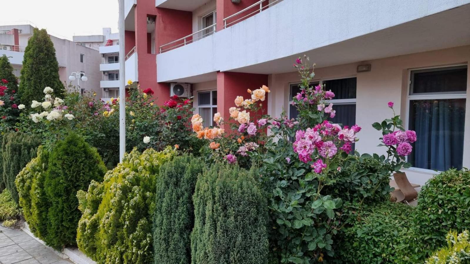 Luxurious Studios Nani كرانيفو المظهر الخارجي الصورة
